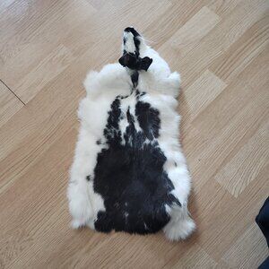 Real rabbit pelt with face